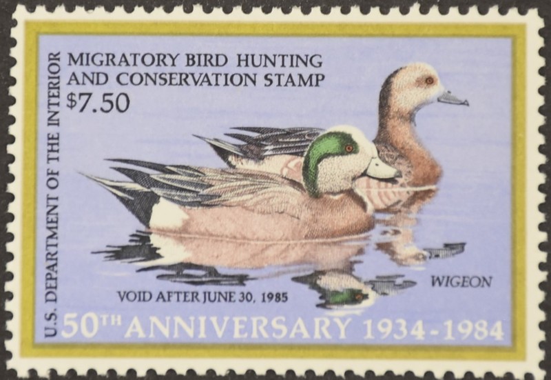 Duck Stamp.JPG