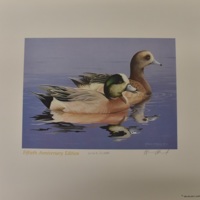 50th Anniversary Duck Stamp Print