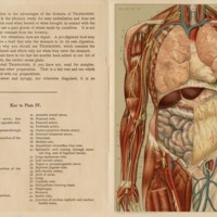 Anatomy Photo.JPG